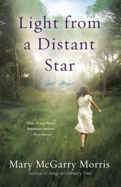 Light from a Distant Star: A Novel cover