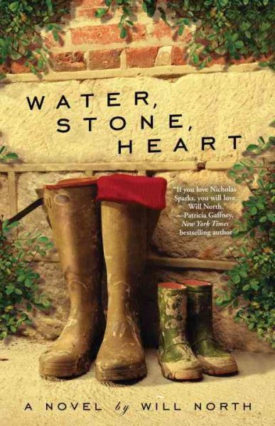 Water, Stone, Heart: A Novel