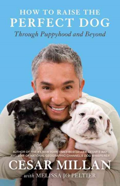 How to Raise the Perfect Dog: Through Puppyhood and Beyond cover