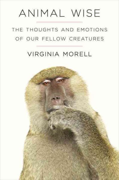 Animal Wise: The Thoughts and Emotions of Our Fellow Creatures cover