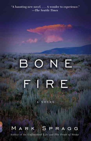 Bone Fire: A novel