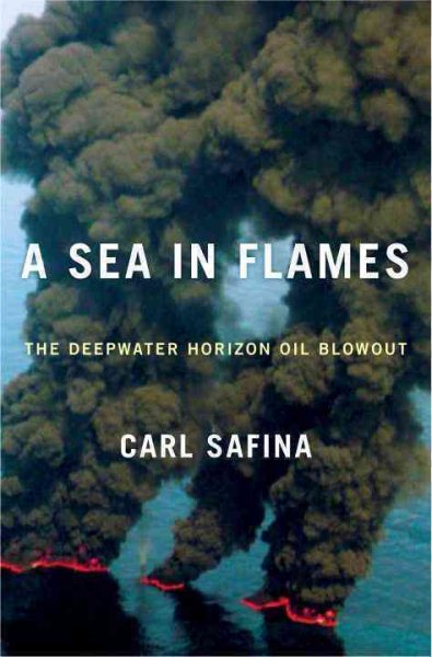 A Sea in Flames: The Deepwater Horizon Oil Blowout cover