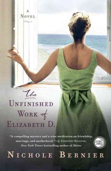 The Unfinished Work of Elizabeth D.: A Novel cover
