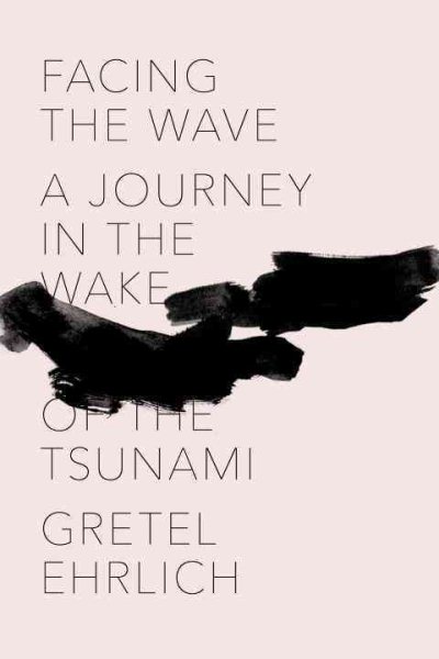 Facing the Wave: A Journey in the Wake of the Tsunami cover