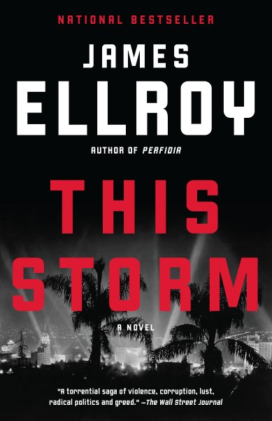 This Storm: A novel cover