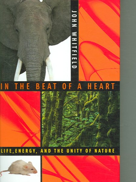 In the Beat of a Heart: Life, Energy, and the Unity of Nature cover