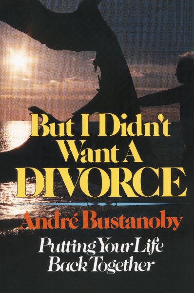 But I Didn't Want a Divorce cover