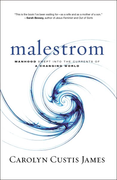 Malestrom: Manhood Swept into the Currents of a Changing World cover