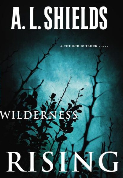 Wilderness Rising (A Church Builder Novel) cover