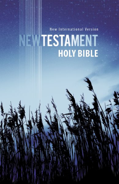 Holy Bible: New International Version, Outreach New Testament cover