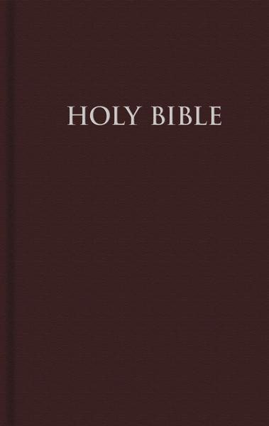 Holy Bible: New Revised Standard Version cover