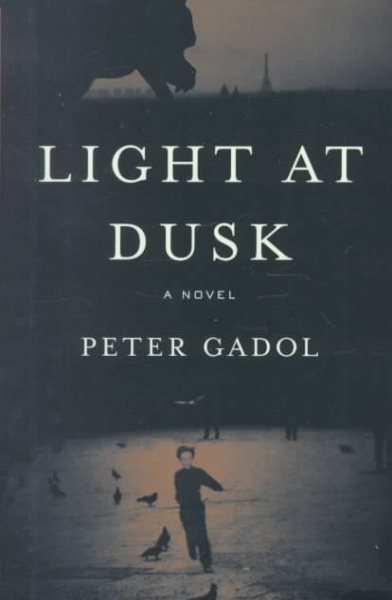 Light at Dusk: A Novel