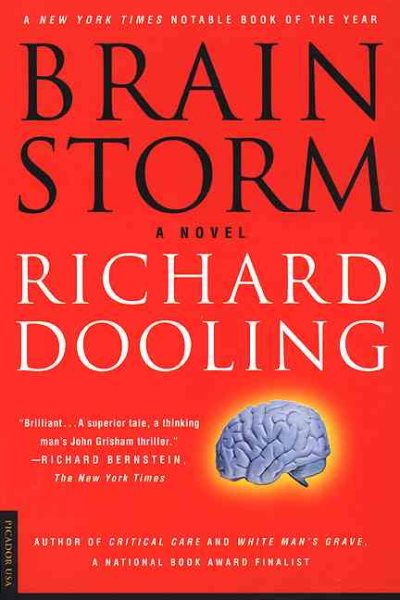 Brain Storm: A Novel cover