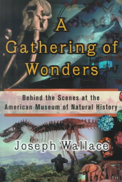 A Gathering of Wonders cover