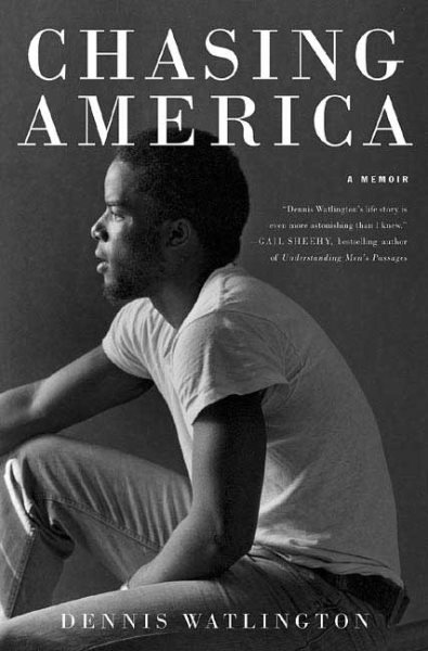 Chasing America: Notes from a Rock 'n' Soul Integrationist cover