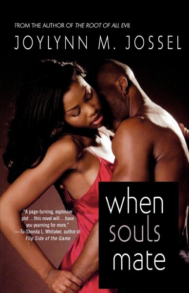 When Souls Mate cover