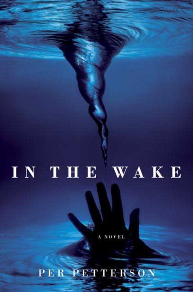 In the Wake: A Novel cover