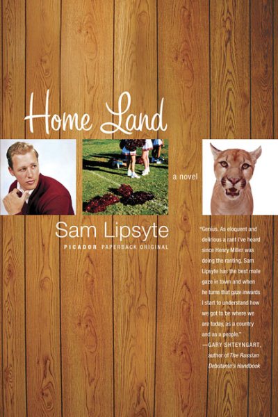 Home Land: A Novel cover