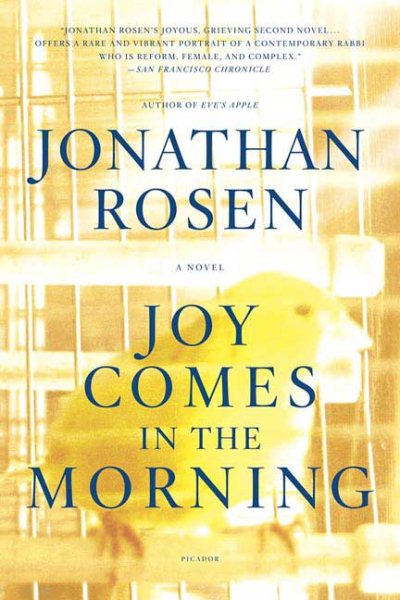 Joy Comes in the Morning cover