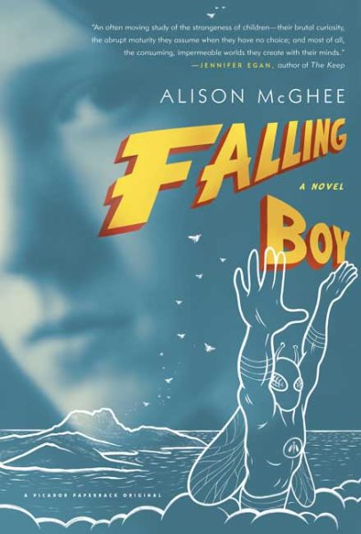 Falling Boy: A Novel cover