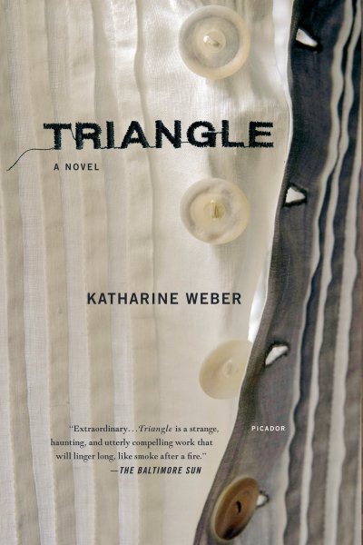 Triangle: A Novel cover