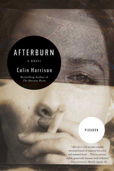 Afterburn: A Novel
