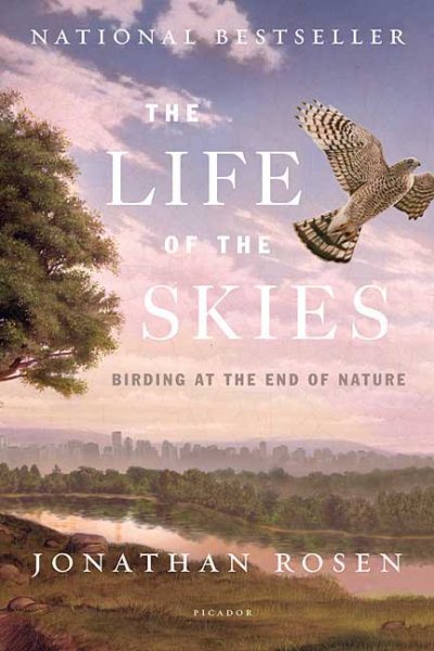 The Life Of The Skies cover
