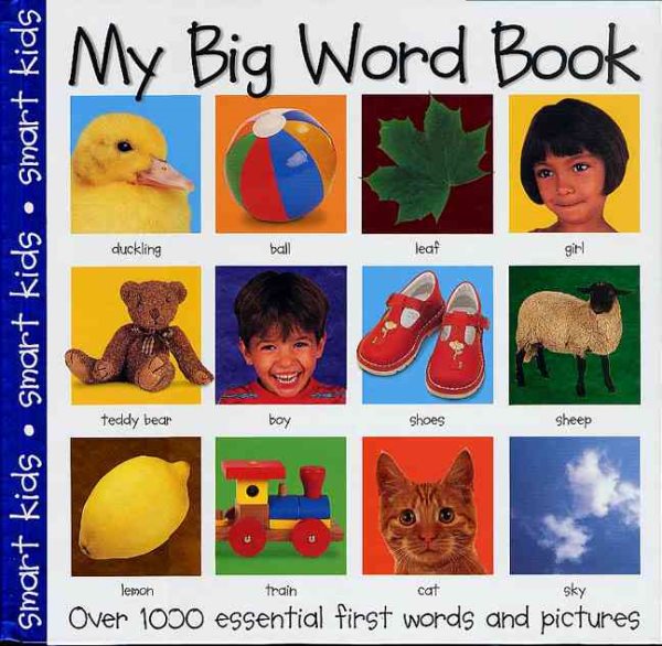 My Big Word Book (My Big Board Books) cover