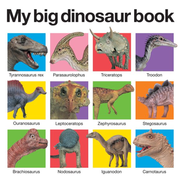 My Big Dinosaur Book (My Big Board Books) cover