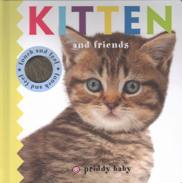 Kitten and Friends Touch and Feel (Baby Touch and Feel) cover