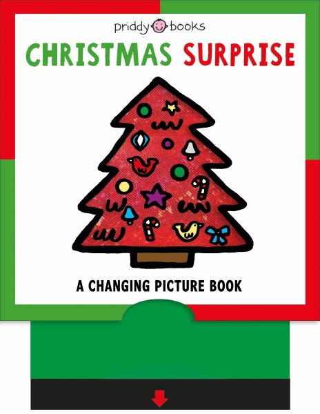 A Changing Picture Book: Christmas Surprise cover