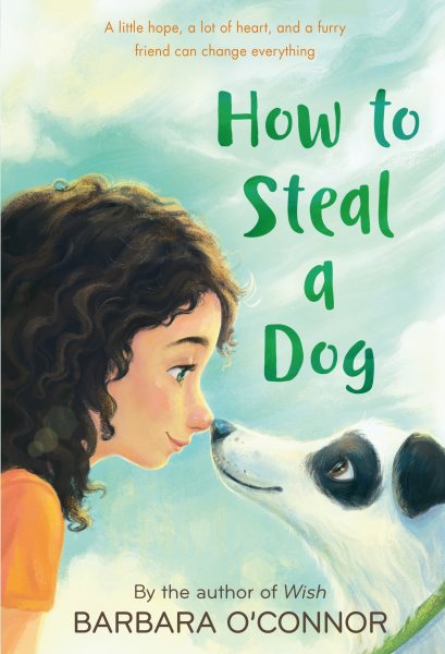 How to Steal a Dog: A Novel cover