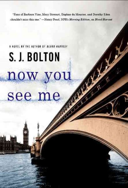 Now You See Me (Lacey Flint Novels)