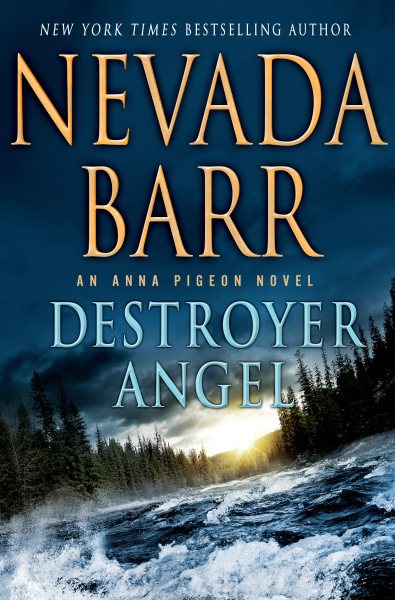 Destroyer Angel: An Anna Pigeon Novel (Anna Pigeon Mysteries) cover