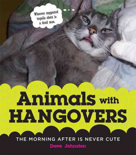 Animals with Hangovers: The Morning After Is Never Cute