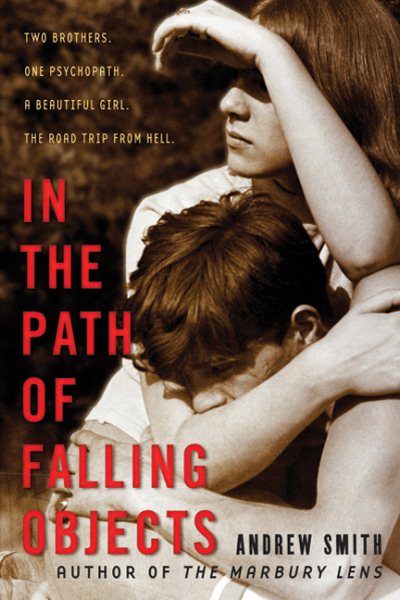 In the Path of Falling Objects cover