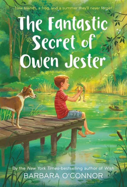 The Fantastic Secret of Owen Jester cover