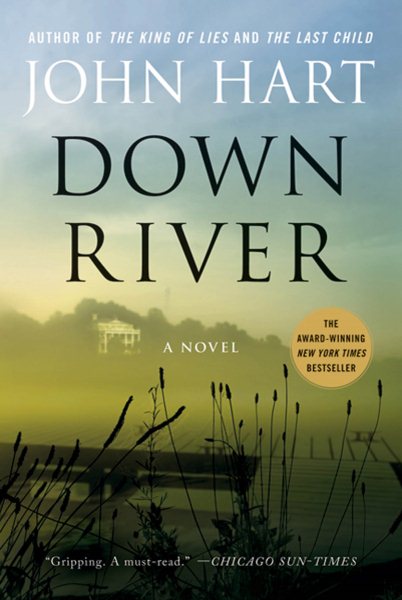 Down River: A Novel cover