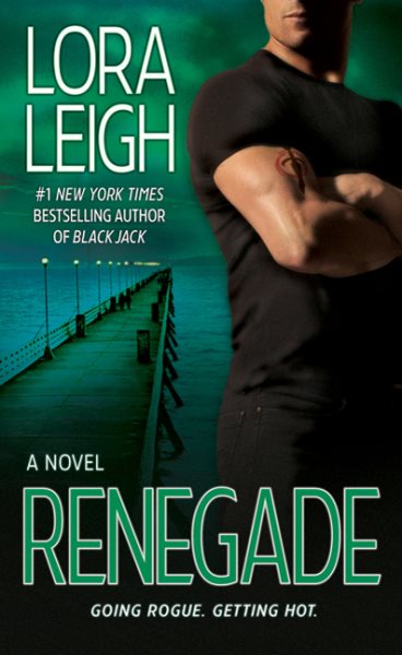 Renegade: A Novel (Elite Ops)
