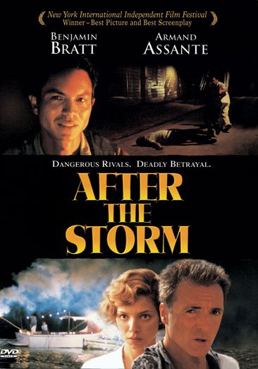 After The Storm cover