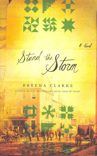 Stand the Storm: A Novel cover