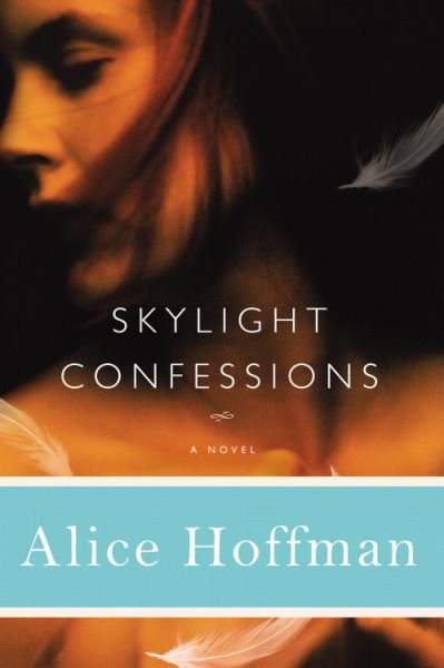 Skylight Confessions: A Novel cover