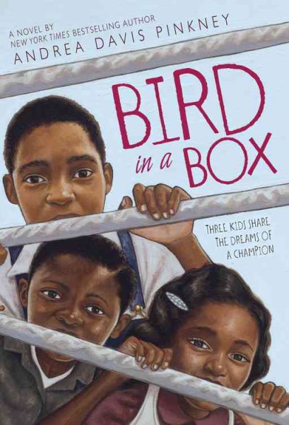 Bird in a Box cover