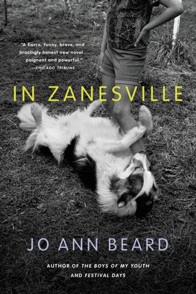 In Zanesville: A Novel cover