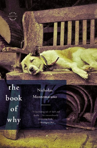 The Book of Why: A Novel cover