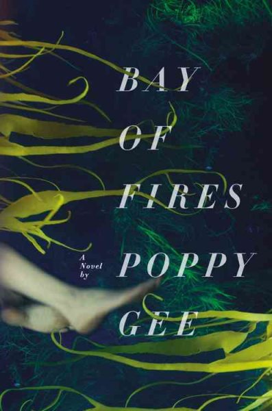 Bay of Fires: A Novel cover