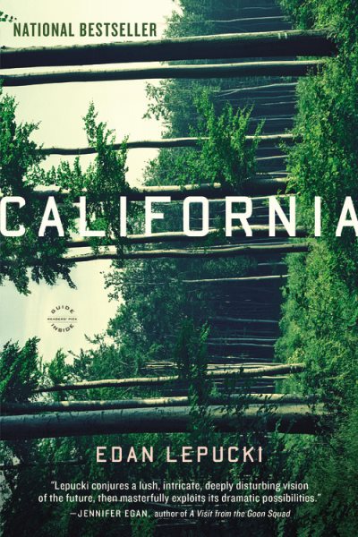 California: A Novel