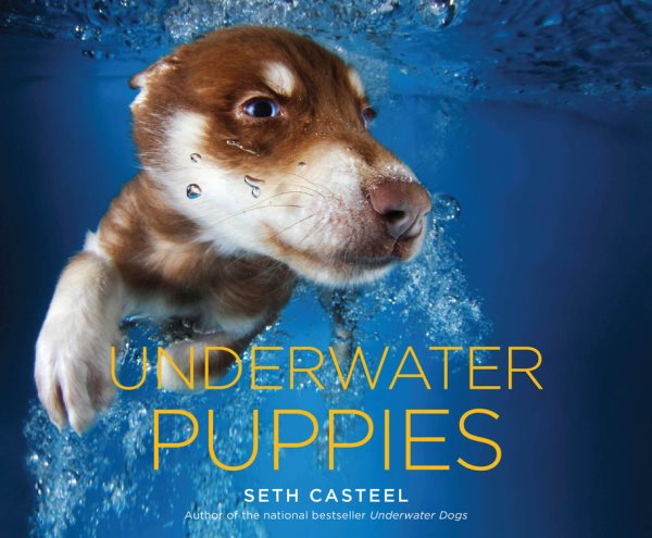 Underwater Puppies cover