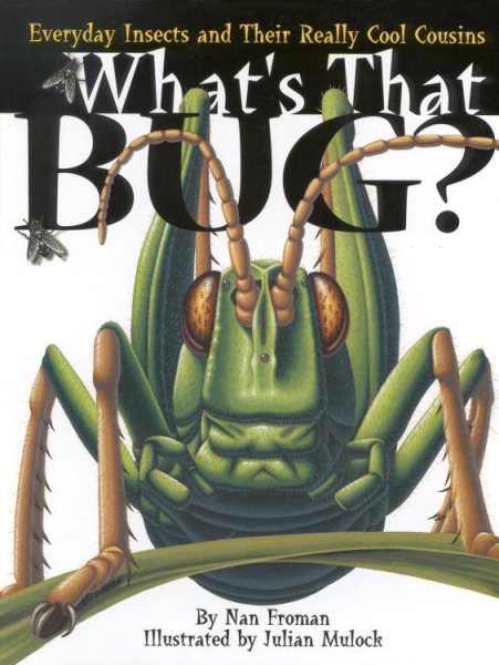 What's That Bug? : Everyday Insects and Their Really Cool Cousins cover