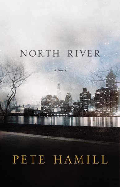 North River: A Novel cover